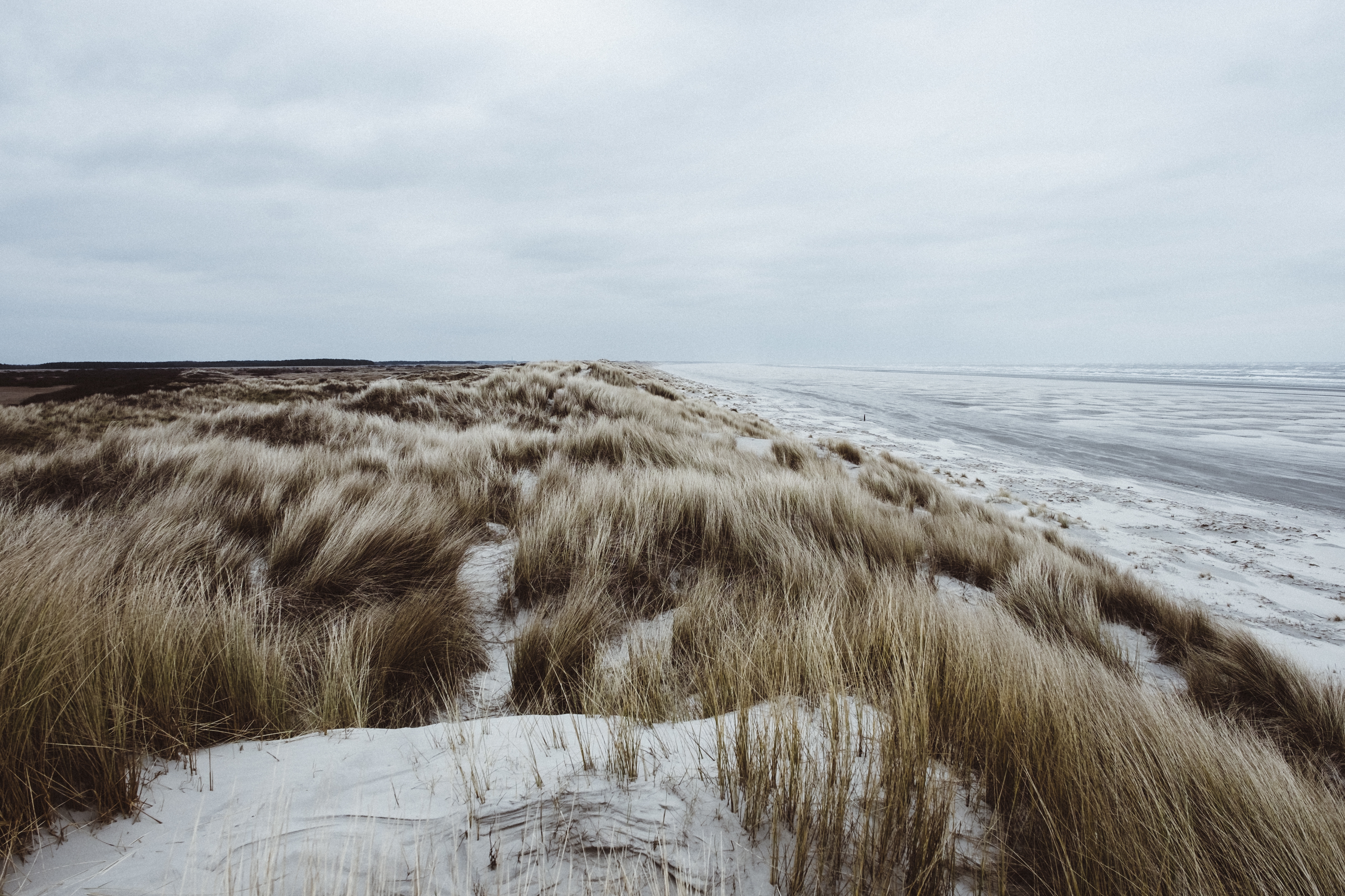 Natur